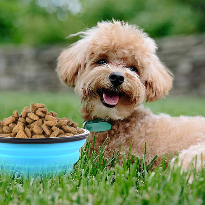 Large Collapsible Dog Bowls, 34oz Travel Water Food Bowls Portable Foldable Collapse Dishes with Carabiner Clip for Traveling, Hiking, Walking, 2 Pack (Light Blue + Light Green) - BeesActive Australia