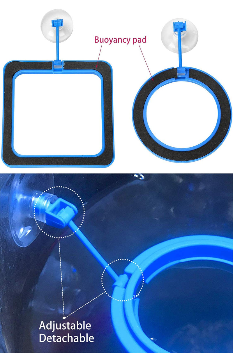 Lucky Interests 10 PCS Fish Feeding Rings Set, Square & Round Shape Fish Food Feeder Circle, with Suction Cup for Aquarium, Blue Floating Food Feeder for Guppy, Goldfish, Small Fish Include 10 Spoons - BeesActive Australia