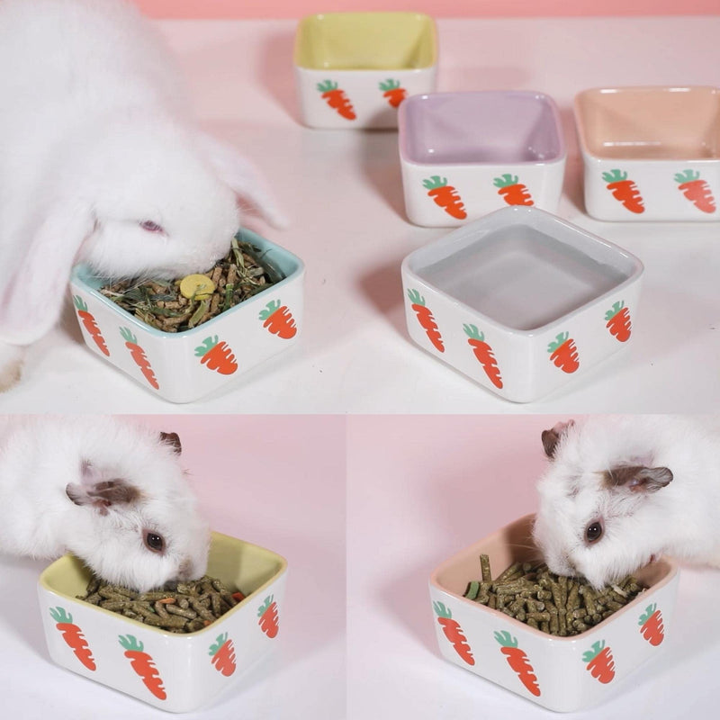 JanYoo Rabbit Food Bowl Guinea Pig Feeder Ceramic for Cage with Water Bowls Supplies and Accessories for Bunny B-Blue+Grey Pack of 2 - BeesActive Australia