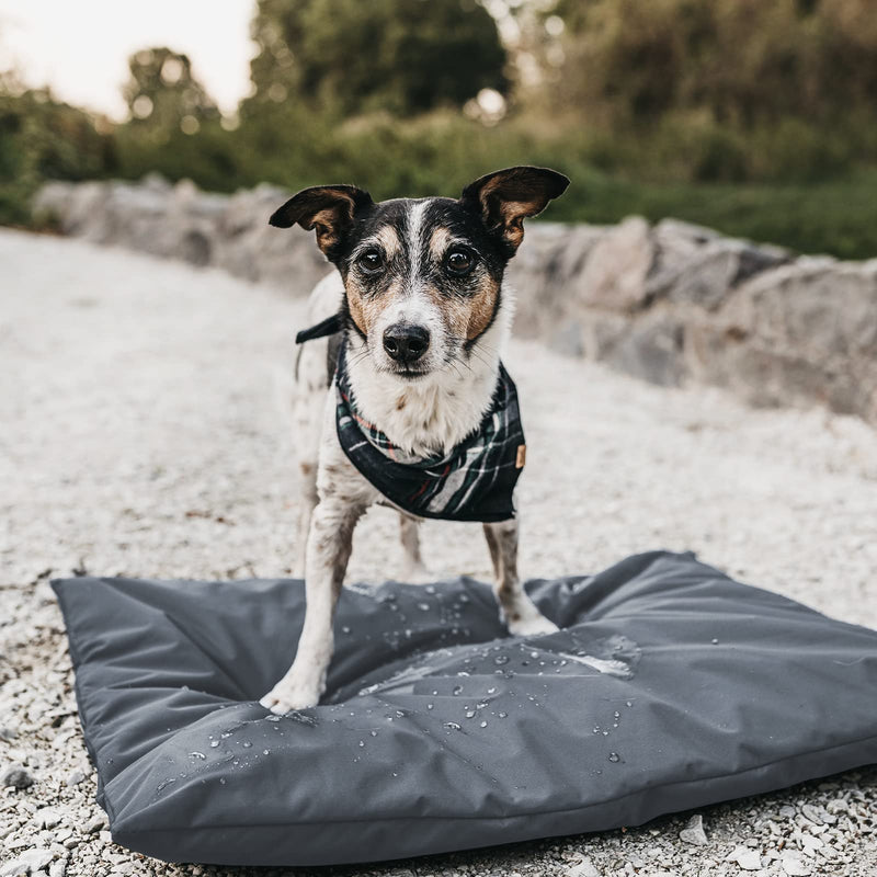 ANANMEI Dog Bed Cover for Small, Medium and Large Dogs Waterproof Dog Bed Cover with Zipper and Carry Handle Washable Pet Bed Protectors, Cover Only 36" L × 27" W × 3" H Grey - BeesActive Australia