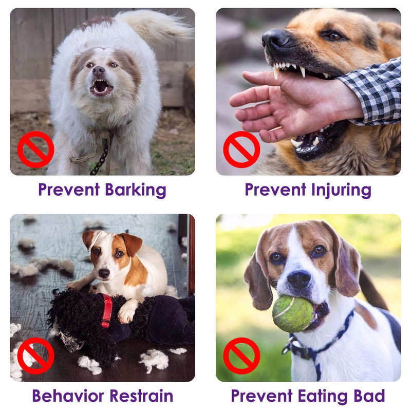 SlowTon Soft Dog Muzzle, Adjustable Padded Nylon Muzzle for Large Medium Dogs Anti Chewing Barking Biting, Allow Dog Pant & Drink Purple - BeesActive Australia