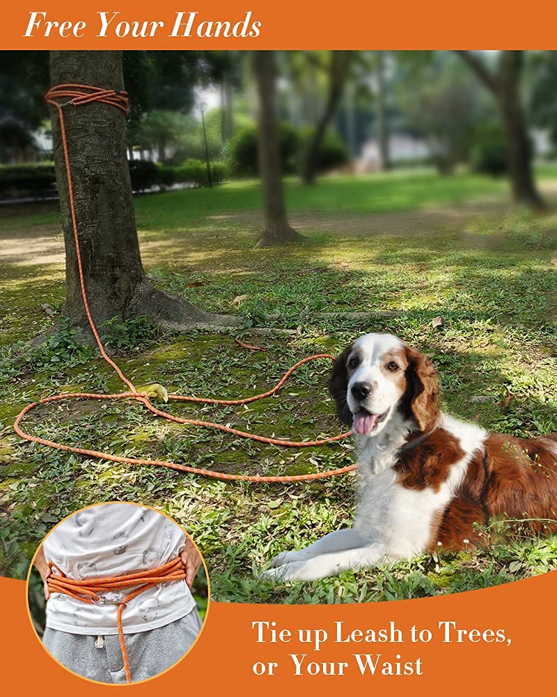 Long Rope Leash for Dog Training 16FT 30FT 50FT, Reflective Threads Check Cord Recall Training Agility Dog Lead, Great for Large Medium Small Dogs Training Playing, Camping, or Backyard 10mm*30FT Orange - BeesActive Australia
