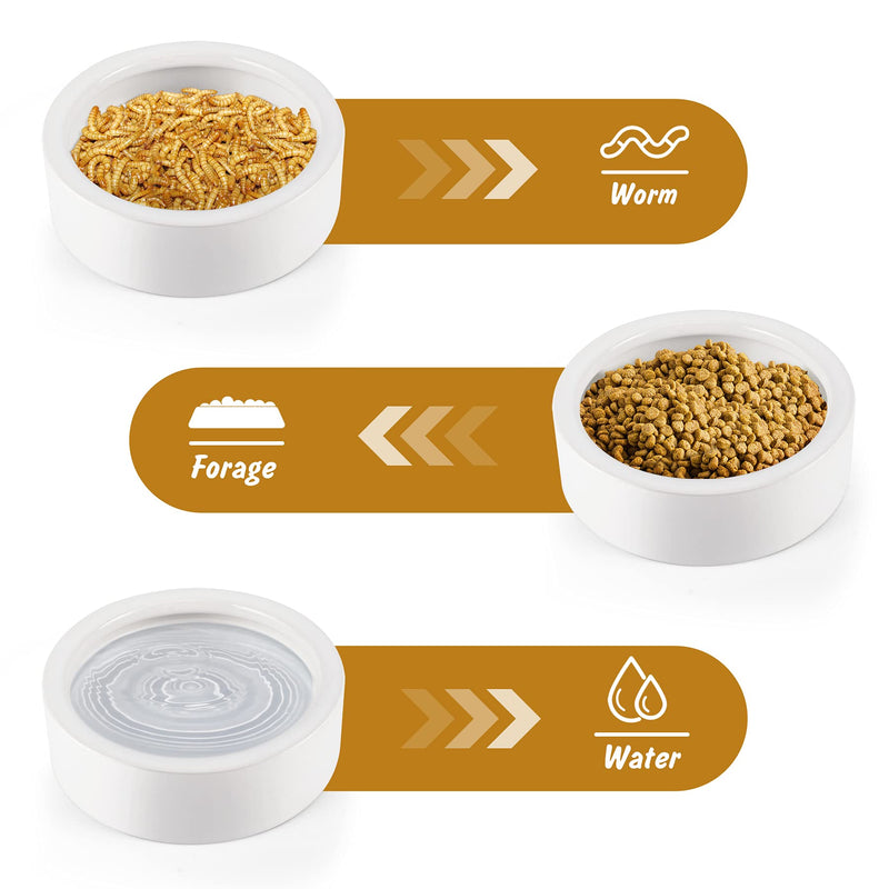 Reptile Food Dish Bowl, Worm Water Dish Small (2.75in) Lizard Gecko Ceramic Pet Bowls, Mealworms Bowls for Leopard Bearded Dragon Chameleon Hermit Crab Dubia Cricket Anti-Escape Mini Superworm Feeder Small-2Pack 1White - BeesActive Australia