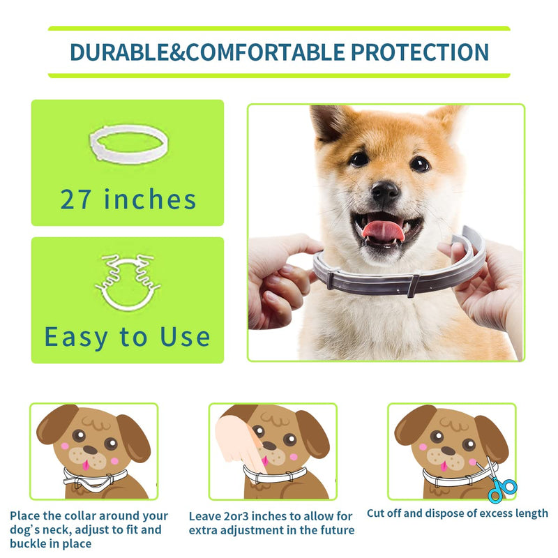 Advanllent Flea Collar for Dogs, 8 Month Flea and Tick Prevention for Dogs, 27 Inch Adjustable - BeesActive Australia