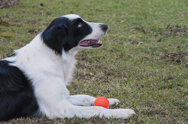 Rubber Dog Ball Chewing Balls Dog Soft Balls Cleaning Teeth Toys Balls with High Bounce for Small Medium Large Pet Toys Red - BeesActive Australia