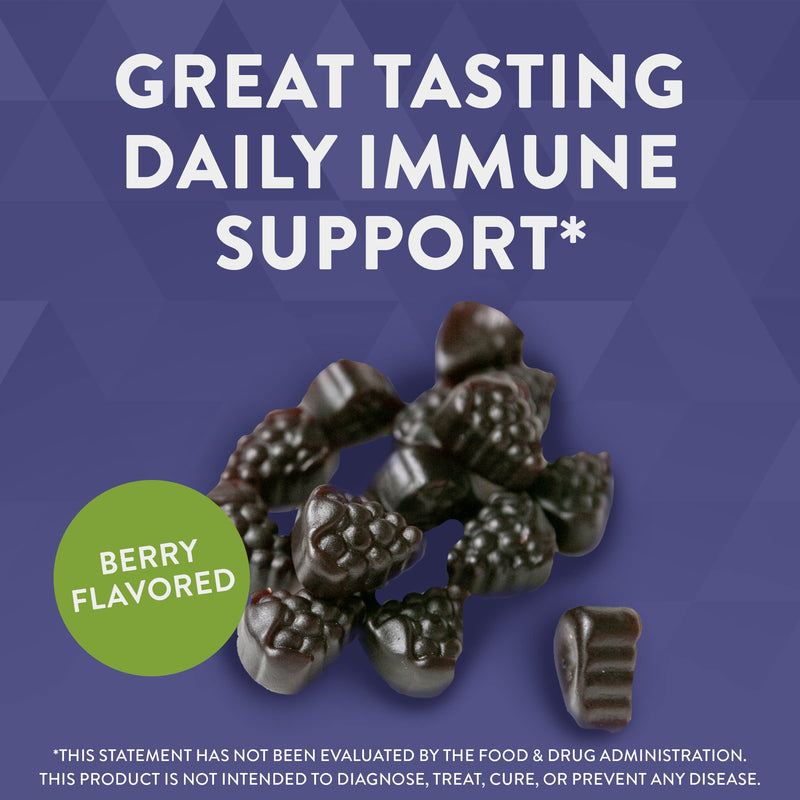 Nature’s Way Sambucus Elderberry Gummies, With Vitamin C, Vitamin D and Zinc, Immune Support for Kids and Adults*, 60 Gummies (Packaging May Vary) 60 Count (Pack of 1) - BeesActive Australia