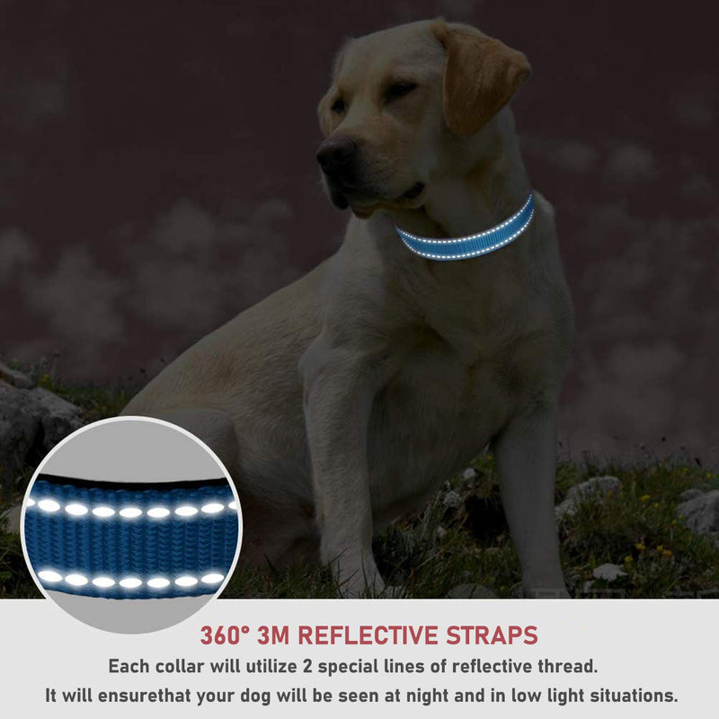 Reflective Dog Collar with Safety Locking Buckle, Adjustable Soft Neoprene Padded Breathable Nylon Pet Collar for Small Medium Large Dogs, 4 Sizes Sky Blue Small :Width 5/8",Neck 10-14" - BeesActive Australia