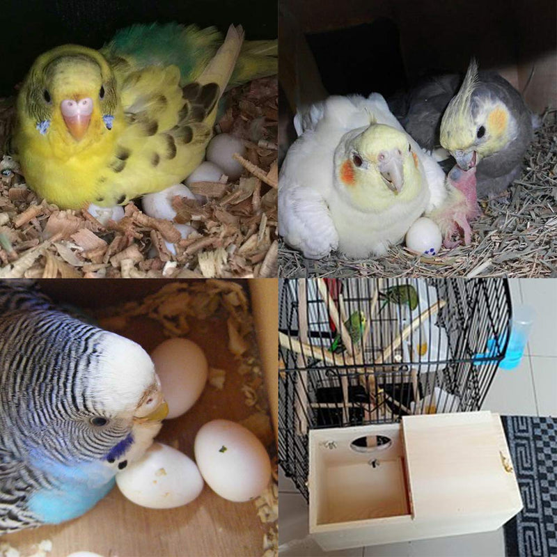 YJJKJ Pine Wood Parakeet Nest Box Bird House Budgie Breeding Mating Box for Lovebirds Cockatiel Parrotlets Medium - BeesActive Australia