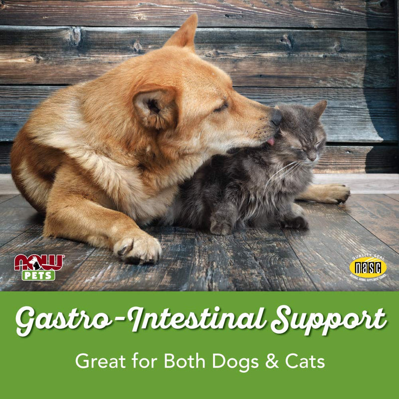 NOW Pet Health, G.I. Support Supplement, Formulated for Cats & Dogs, NASC Certified, 90 Chewable Tablets - BeesActive Australia