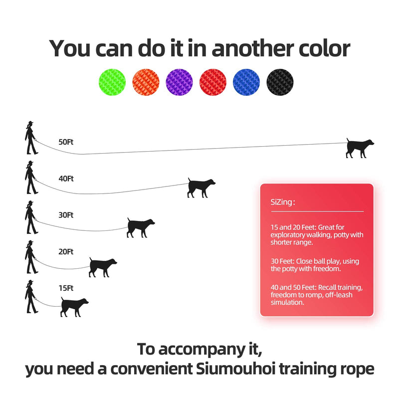 Siumouhoi Dog/Puppy Obedience Recall Training Agility Lead-15 ft 20 ft 30 ft 40 ft 50 ft Long Leash -for Training Leash, Play, Safety, Camping,or Backyard 20 Feet Purple - BeesActive Australia