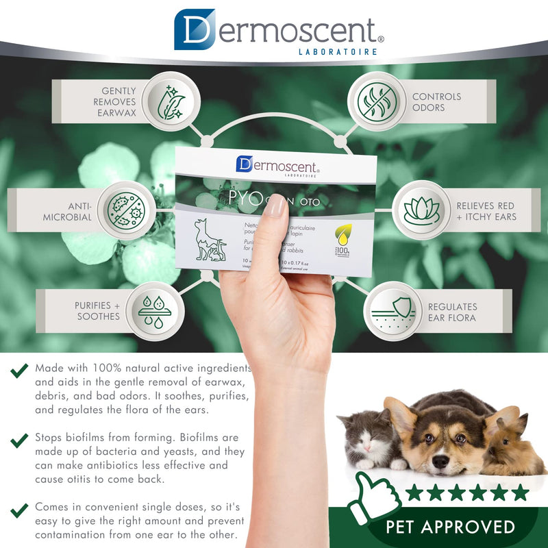 Dermoscent Pyoclean OTO Dog Ear Cleaner - Drops to Stop Head Shaking, Itchy & Waxy Ears - Non-Toxic - Ear Cleaning Solution for Dogs - BeesActive Australia