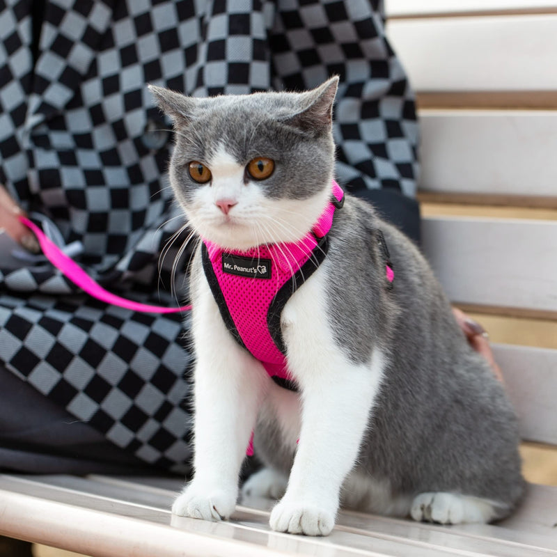 Mr. Peanut's PurrTrek Reflective Cat Harness with Matching Leash Small Pink - BeesActive Australia