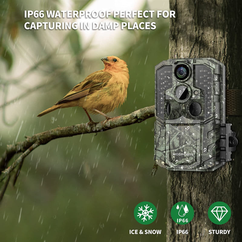 Trail Camera,30MP 1920P FHD 0.2S Trigger Motion Activated,Game Hunting Camera with Night Vision IP66 Waterproof 2.0''LCD 120°Wide Camera Lens for Outdoor Scouting Wildlife Monitoring Home Security Light Green - BeesActive Australia
