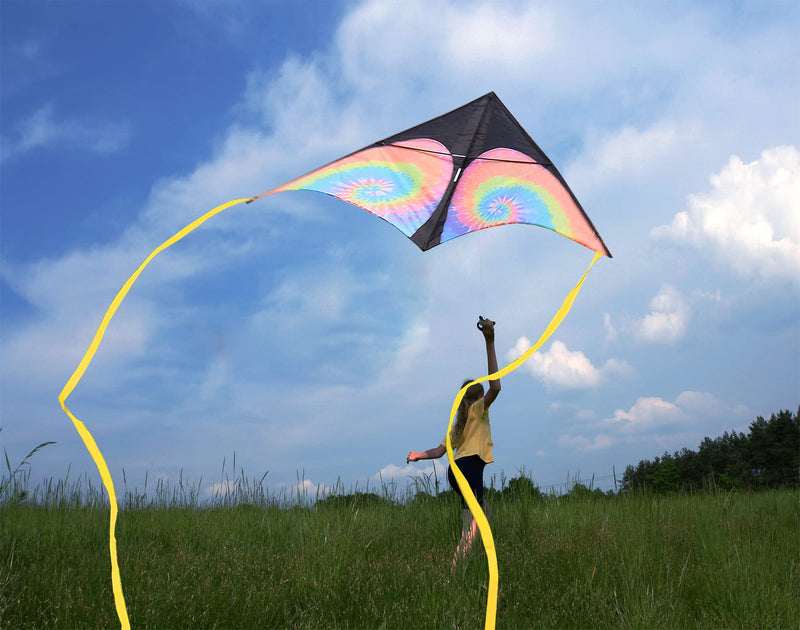 LANRUI Delta Kite for Kids & Adults, Extremely Easy to Fly Kite, Best Kite for Beginner,Kites for Kids Ages 4-8 - BeesActive Australia