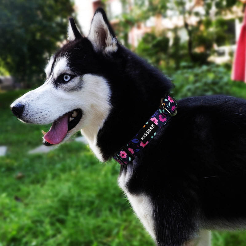 KISSBAK Dog Collar for Small-Medium-Large Dogs - Special Design Cute Girl Dog Pet Collar Soft Adjustable Fancy Floral Girl Puppy Dog Collars Medium - BeesActive Australia