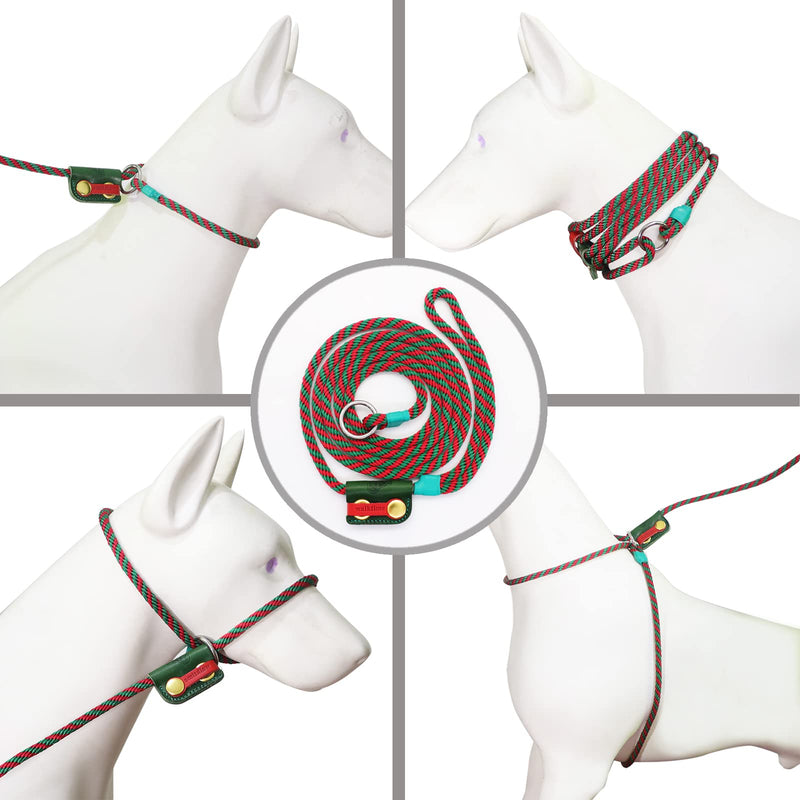 Slip Lead Dog Leash,Dog Harness and Leash Set for Walking - Head Collar with Rope Leash for Pulling - DIY Dog Scarf 6ft Dog Leash x 1/4in Thick Green Slider - BeesActive Australia
