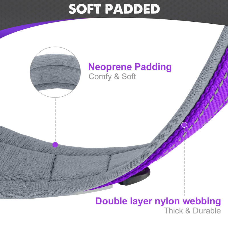 Joytale Neoprene Padded Dog Collar, 11 Colors, Reflective Wide Pet Collars with Durable Metal Belt Buckle, Adjustable Heavy Duty Nylon Dog Collar for Small Medium Large Extra Large Dogs Large (Pack of 1) Purple - BeesActive Australia