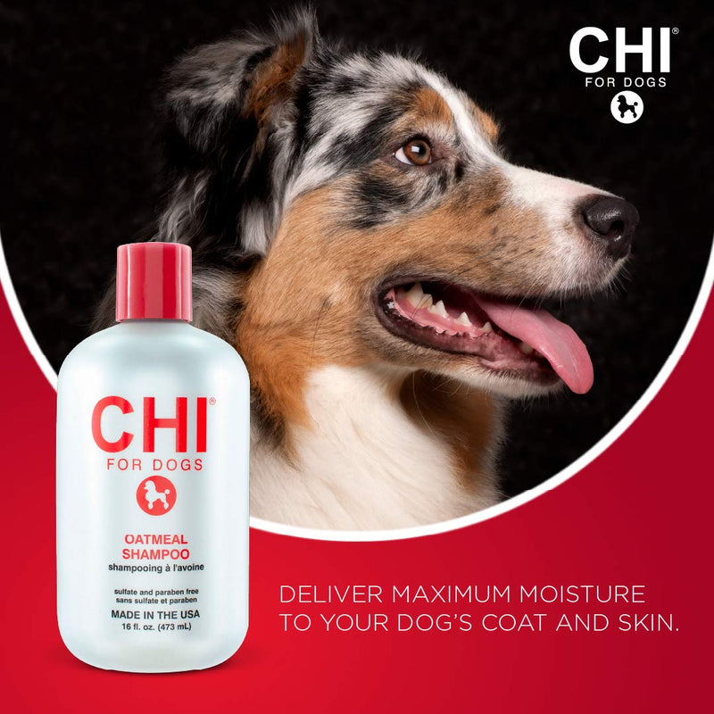CHI for Dogs Shampoo and Conditioner for Dogs |CHI Products for All Dogs and Puppies | Sulfate And Paraben Free, pH Balanced for Dogs, Made in the USA Oatmeal - BeesActive Australia