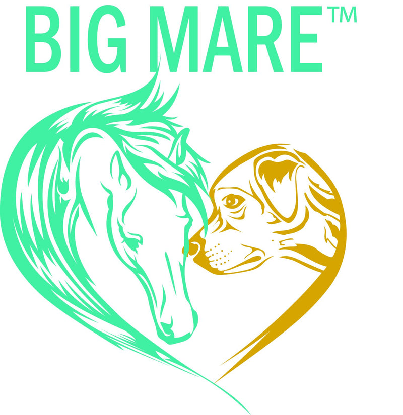 [AUSTRALIA] - Big Mare Thrush Spray : Antibacterial/Antifungal. Clinically Proven Effective On Thrush. No Sting, No Stain Formulation. Veterinary Approved & Recommended. 