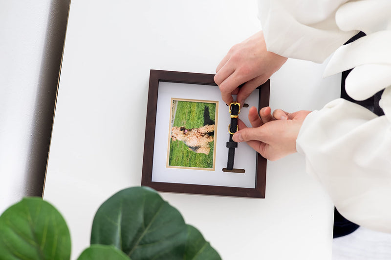 Pearhead Pet Collar Keepsake Picture Frame Espresso Collar Frame - BeesActive Australia