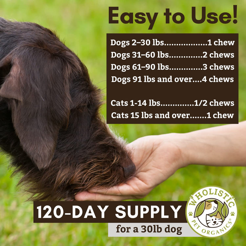 Wholistic Pet Organics:Dog Probiotics and Digestive Enzymes-Probiotic Chews for Dogs Digestive Health,Support Gut Health Immune Supplement Prevents Dog Digestive Problems-Puppy Probiotic Original 120 Count - BeesActive Australia