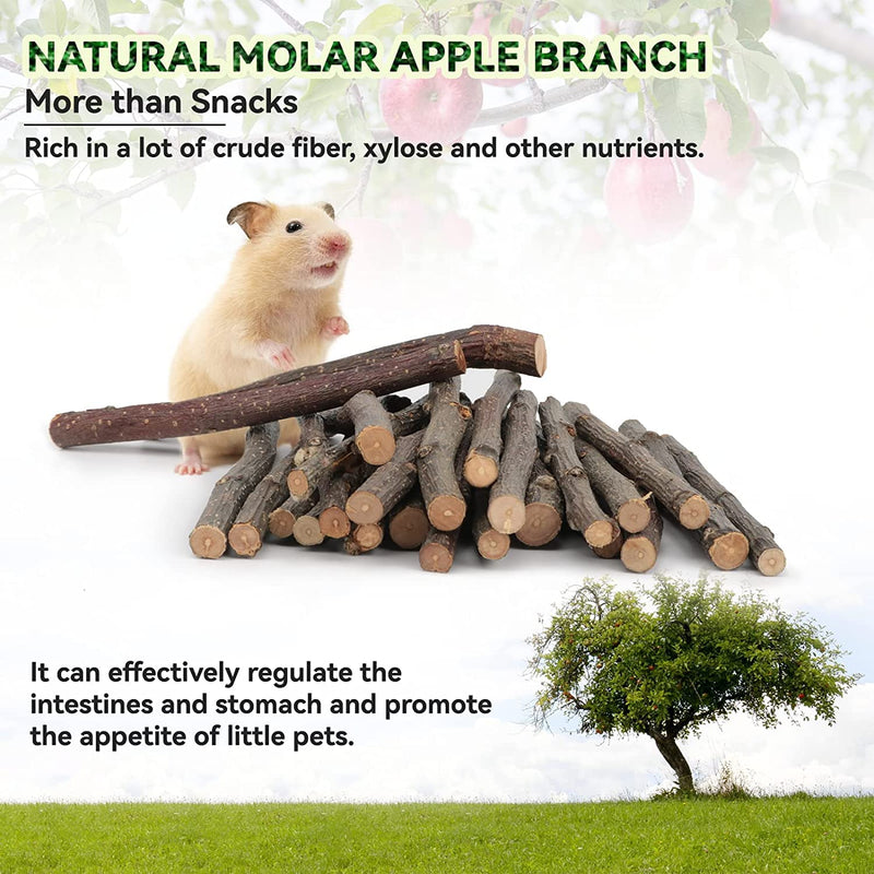 XLpeixin 200g Apple Sticks Small Animals Chew Toys,Small Animals Molar Wood Treats Toys for Rabbits Chinchillas Guinea Pig Hamster Gerbil Bunny，Uniform Thickness and Size thin200g - BeesActive Australia