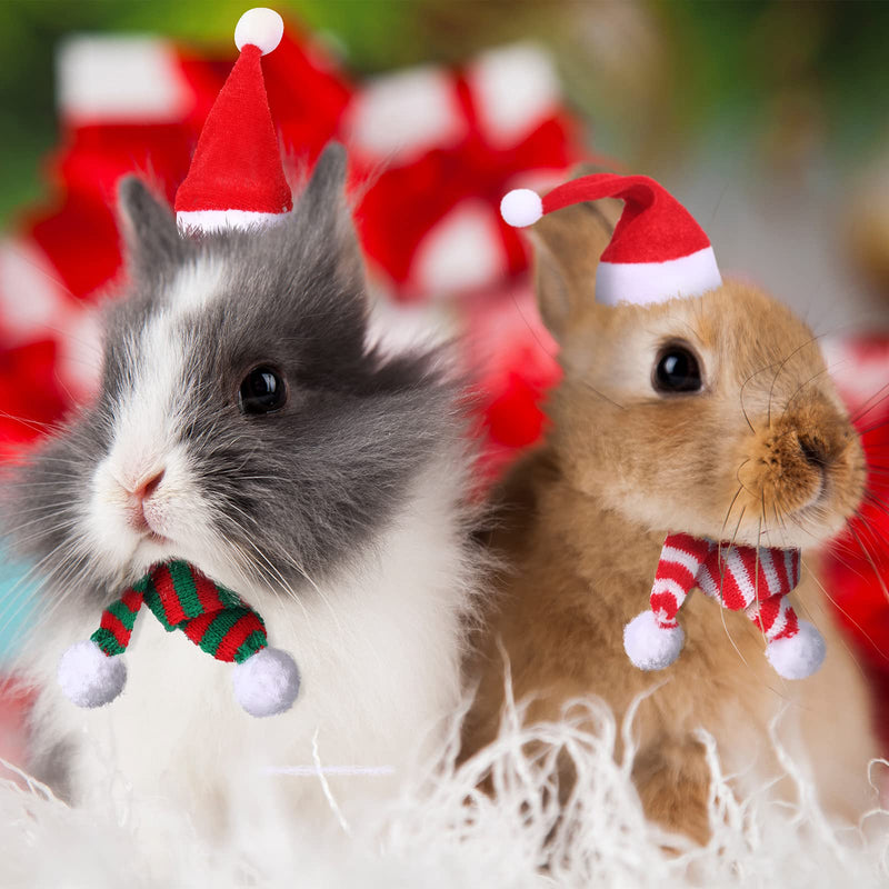 Satiri 8 Pieces Small Animal Christmas Costume Mini Santa Hat Xmas Guinea Pig Hat Small Pet Christmas Hat with Scarf for Hamster Guinea Pig Chinchilla Hedgehog Lizard Bearded Dragon Xmas Party Supply - BeesActive Australia