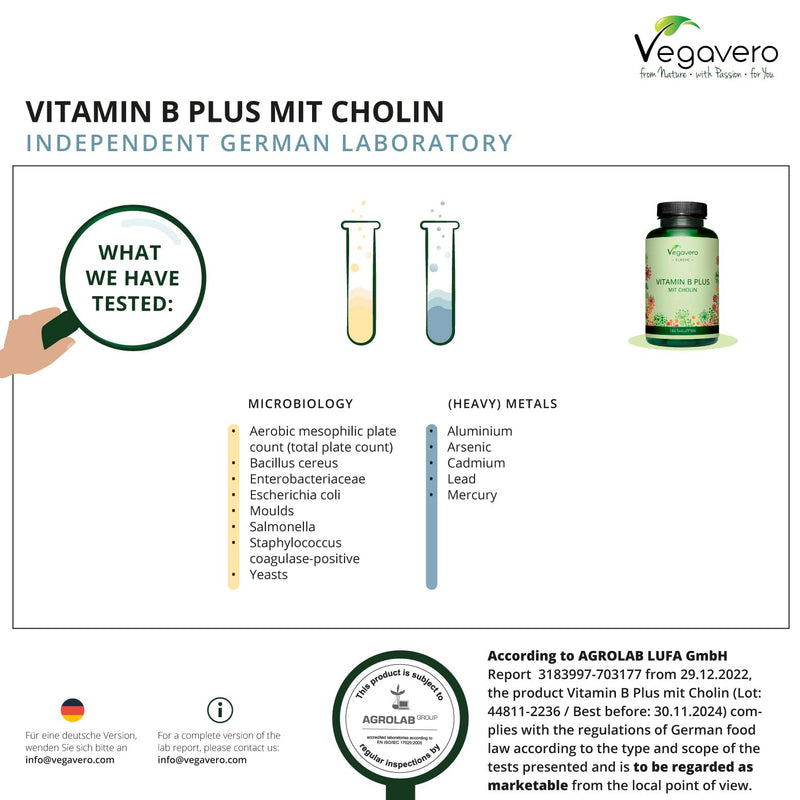 Vitamin B Complex Vegavero� | All 8 B Vitamins with Choline | NO Additives | 180 Tablets | Vegan - BeesActive Australia