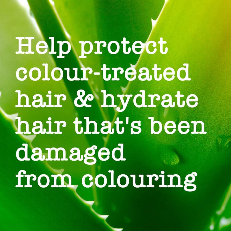 Maui Moisture Vegan Sea Minerals Colour Aloe Vera Conditioner for Coloured Hair and for Blonde Hair 385 ml - BeesActive Australia