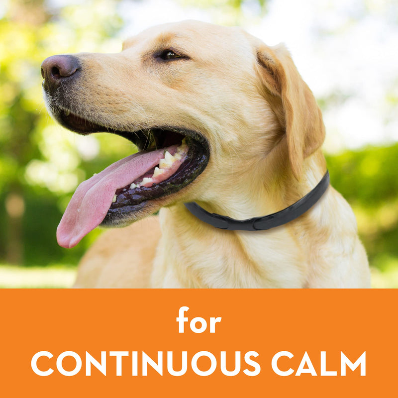 ThunderEase Calming Anti Anxiety Pheromone Collar for Dogs (Large) - BeesActive Australia