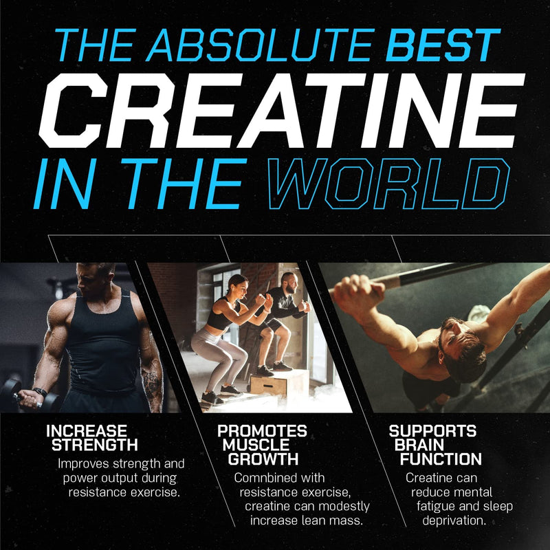 Muscle Feast Creapure Creatine Monohydrate Powder for Muscle Growth Nutritional_Supplement, Vegan Keto Friendly Gluten-Free Easy to Mix, Unflavored, 300g, 55.0 Servings (Pack of 1) 10.5 Ounce (Pack of 1) - BeesActive Australia