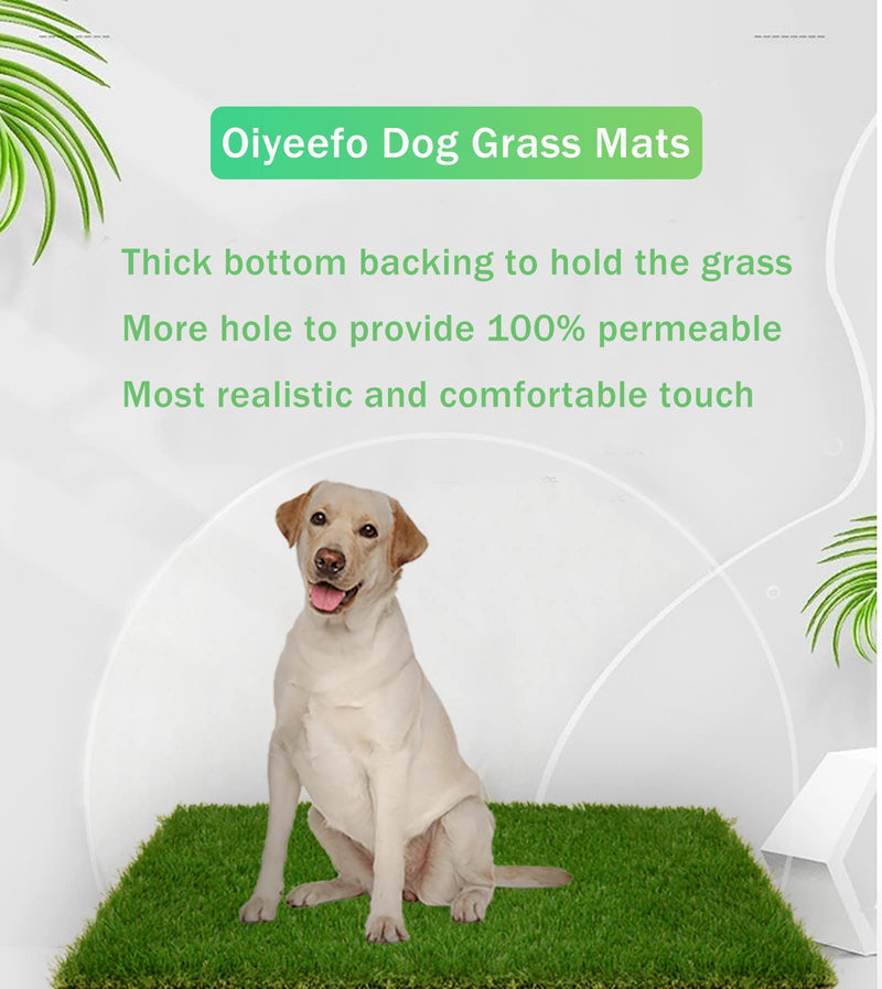 Oiyeefo Artificial Pet Pee Grass Mat for Puppy, Pet Turf Fake Grass Replacement Pad for Dog Potty Training, Indoor and Outdoor - 2 Packs (18" x 23") - BeesActive Australia