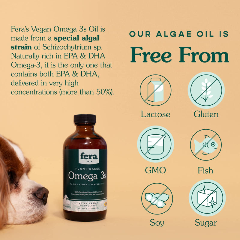Fera Pets - Plant Based Omega 3s, 6, 9 - for Dogs and Cats - Made with Marine Algae + Flaxseed Oil - 100% Vegan DHA and EPA Supplement - for Healthy Skin, Coat, and Immune System - 8oz - BeesActive Australia