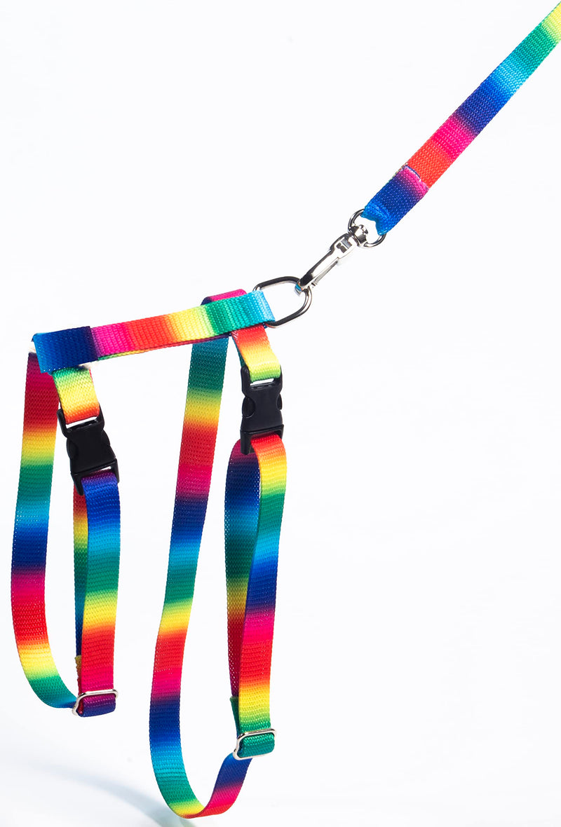 FABATY Cat Harness and Leash Set, Cats Escape Proof - Adjustable Kitten Harness for Large Small Cats and Puppies Lightweight Soft Walking Travel Petsafe Harness Rainbow - BeesActive Australia