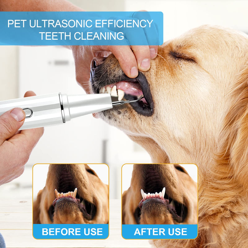 Ninibabie Dog Tooth Brushing Kit,Plaque and Tartar Remover for Teeth,Pet Ultrasonic Teeth Cleaning Kit, 100%-Proven Safe with Led 4-Adjustable Modes,Dog Toothbrush,Dental Care for Dog and Cat White - BeesActive Australia
