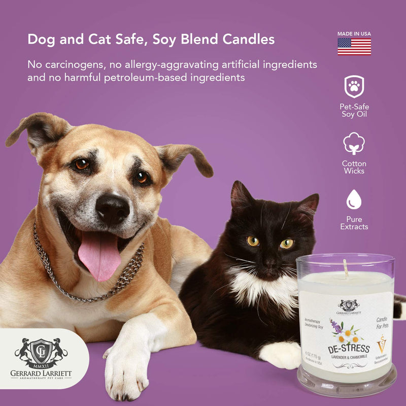 Lavender & Chamomile Aromatherapy Deodorizing Soy Candle for Pets, Pet Odor Eliminator & Animal Lover Gift - 6 OZ (170 g) Lavender & Chamomile - BeesActive Australia