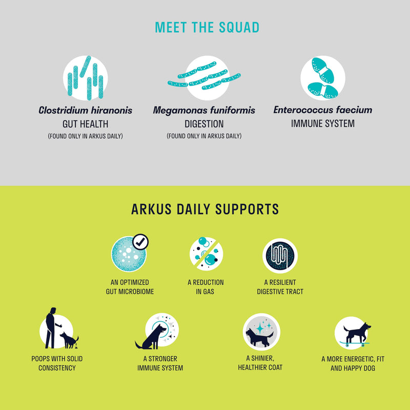 ARKUS Daily Dog Probiotic, The Only Product Made with Microbes That are Natural to The Gut of Healthy Dogs, Supports Better Digestion, Gut Health, and Immune System, Maintains a Healthy Microbiome - BeesActive Australia