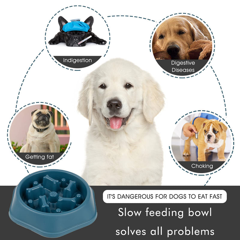 DPOEGTS Slow Feeder Dog Bowl, Puzzle Dog Food Bowl Anti-Gulping Interactive Dog Bowl and Water Dog Bowl for Small/Medium Sized Dogs Bone-Blue-(Not Travel Bowl) - BeesActive Australia