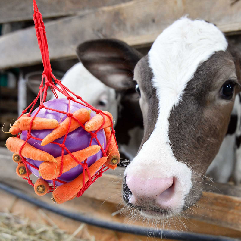 Horse Treat Ball Carrot Feeder Toy Hanging Feeding Toy Goat Feeder Ball for Horse Goat Sheep Relieve Stress, Horse Stable Stall Paddock Rest Purple - BeesActive Australia