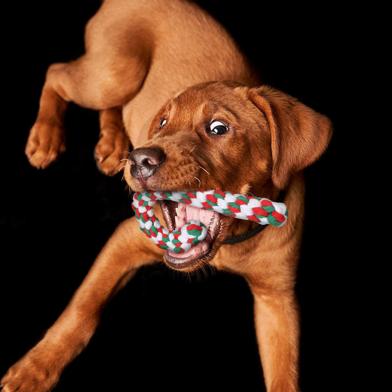 2 Pieces Christmas Dog Chew Toy and Candy Cane Dog Rope Toy Pet Durable Chewing Toys Puppy Teething Toys Chewing Ropes for Small and Medium Dogs - BeesActive Australia
