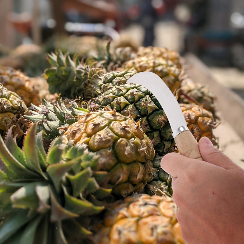 Abaodam sod cutter sickle japanese knife grass saw pruning - Stainless Steel Multifunctional Wooden Handle Fruit Pineapple Banana Knife Cutter Sickle for Restaurant Home - BeesActive Australia