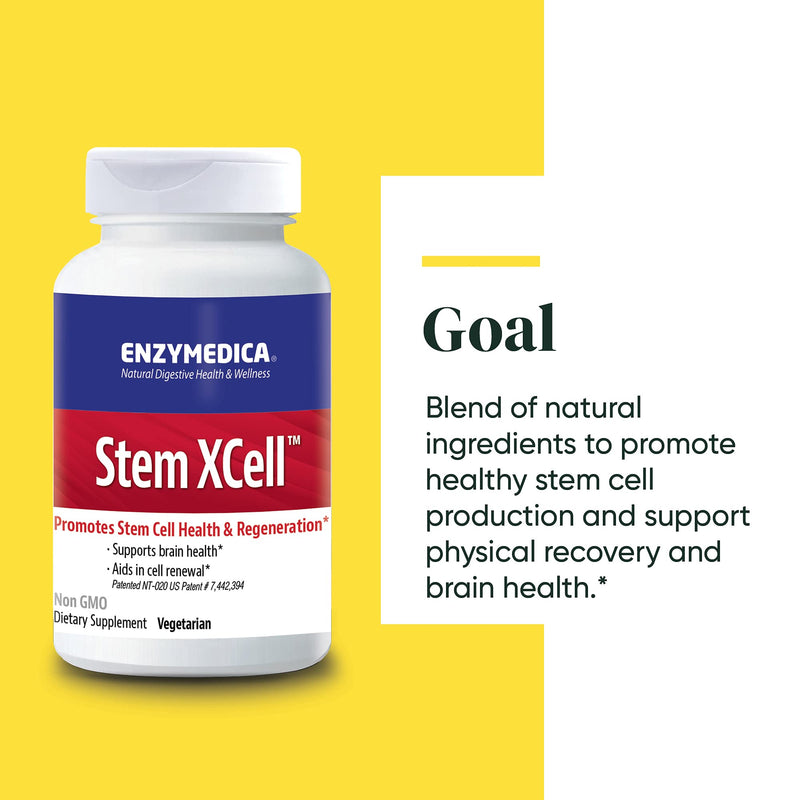ENZYMEDICA - Stem XCell (60 Capsules) | Therapeutic Enzymes Supplements | Enzyme and Antioxidant Blend for Stem Cell Health and Regeneration, Nutrient Supplements, Vegetarian, Dairy Free, Gluten Free - BeesActive Australia