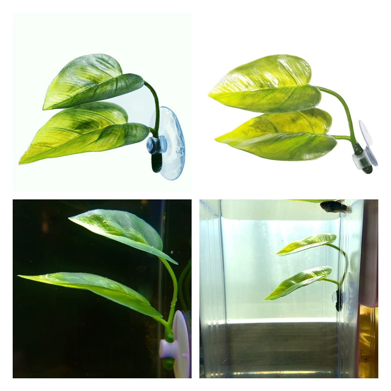 Betta Fish Leaf Pad Simulating The Natural Habitat for Betta Spawning Grounds Breeding Resting Bed Plastic Suction Cup (1 Pcs) - BeesActive Australia