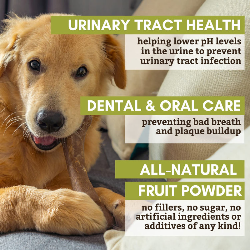 Wholistic Pet Organics WholeCran Intense: Cranberry for Dogs UTI, Urinary Tract Support, Bladder Control and Kidney Health - Organic Dog Cranberry Powder with Vitamin C and Antioxidants - 2 Oz - BeesActive Australia