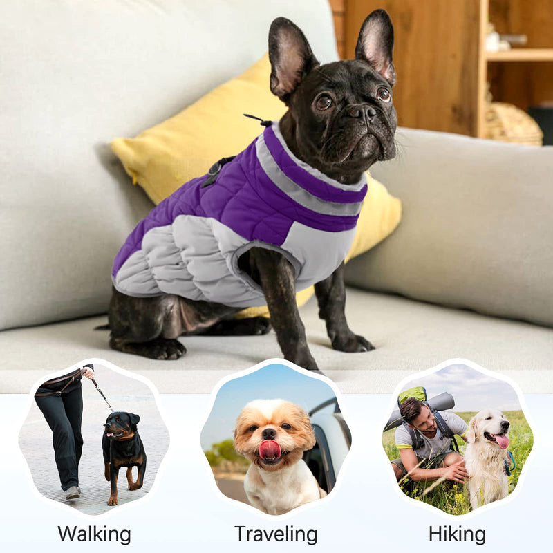 OUOBOB Dog Winter Jacket Cozy Reflective Waterproof Dog Coat Windproof Warm Pet Garment, Comfortable Cold Weather Fleece Apparel Outfits with Zipper Closure for Small Medium Large Dogs Puppy Walking Purple - BeesActive Australia