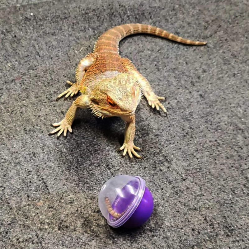 CooShou Lizard Bearded Dragon Feeding Toys Ball Reptile Food Toys Ball Lizard Interactive Toys for Bearded Dragon, Lizard, Gecko and Small Animals 6Pcs - BeesActive Australia
