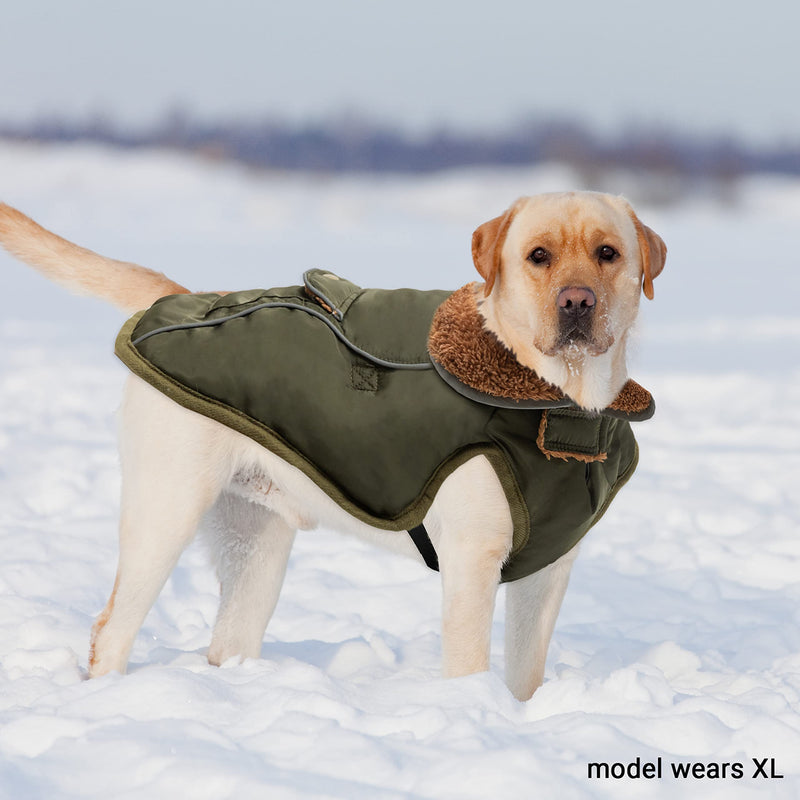 Dog Winter Coat - Warm Fleece Dog Clothes for Rain Snow Wind Cold Weather - Reflective Adjustable Cozy Waterproof Windproof Dog Vest Jacket with Leash Hole for Small Medium Large Dogs Indoor Outdoor L (chest:19"-28" neck:17.5") Green - BeesActive Australia