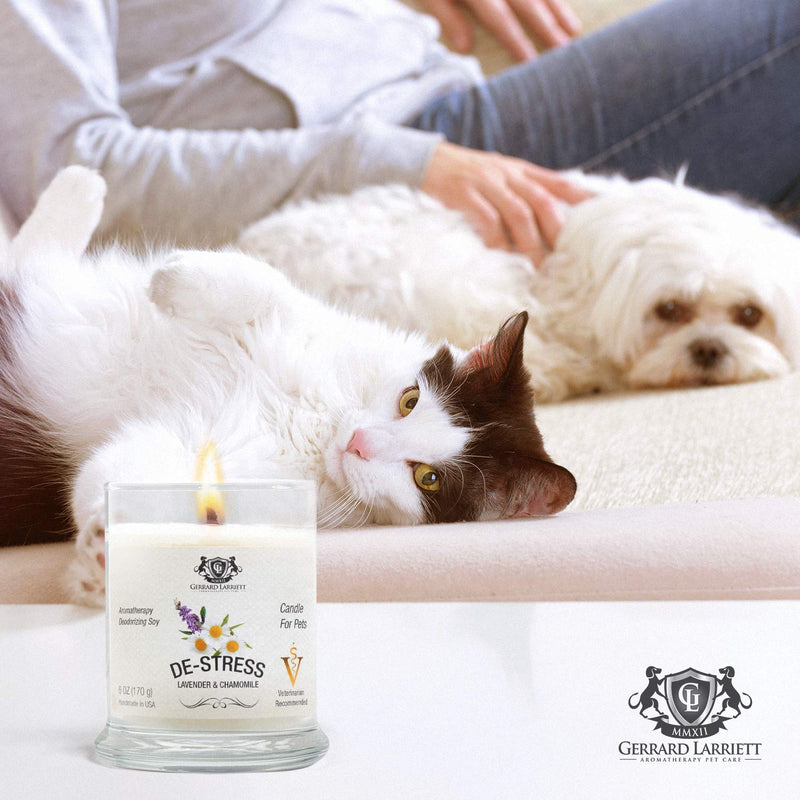 Lavender & Chamomile Aromatherapy Deodorizing Soy Candle for Pets, Pet Odor Eliminator & Animal Lover Gift - 6 OZ (170 g) Lavender & Chamomile - BeesActive Australia