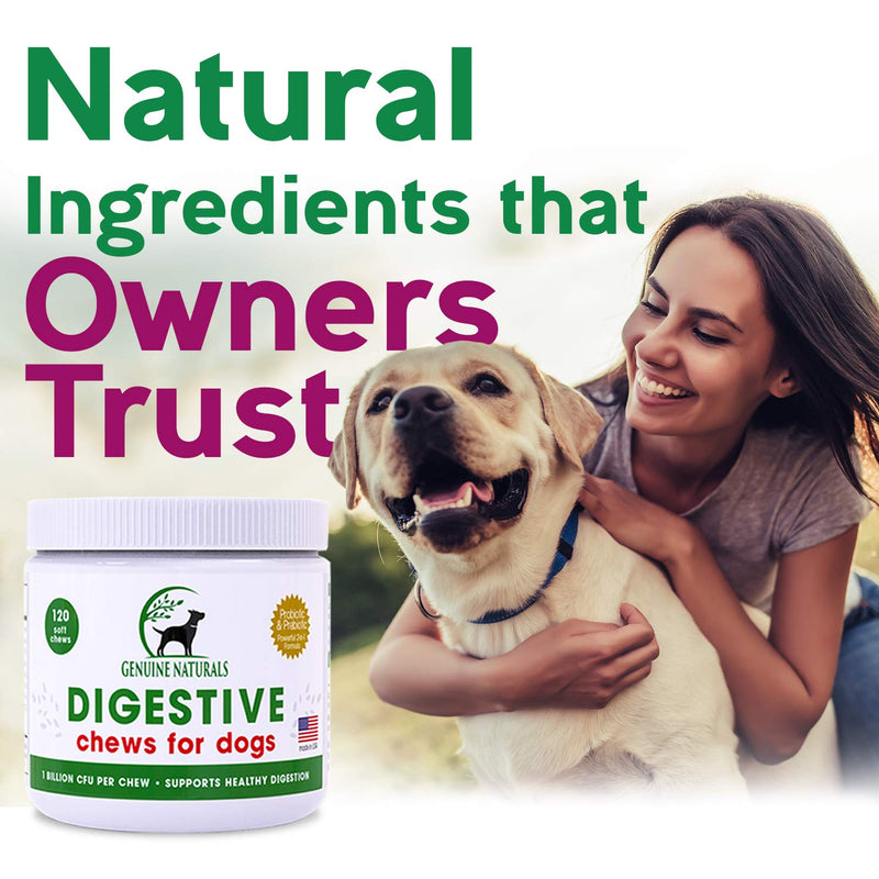 Digestive Supplement for Dogs Best Probiotic for Dogs That Helps with Diarrhea Upset Stomach Bad Breath and Constipation by Genuine Naturals120-Count - BeesActive Australia