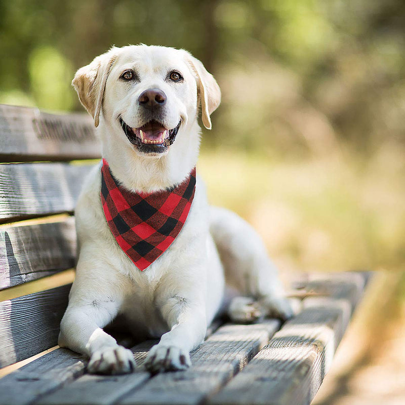 Kytely Buffalo Plaid Dog Bandanas, Triangle Reversible Pet Scarf for Boy and Girl Triangle Bibs for Small Medium Large Dog Cat Red+Green - BeesActive Australia